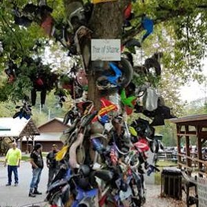 Tree Of Shame. All who don't make it through the Tail Of The Dragon get a piece of their ride hung on the tree. 318 turns in 11 miles.