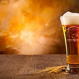 spyder beer 1