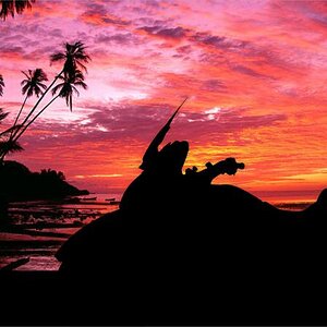 postcard1