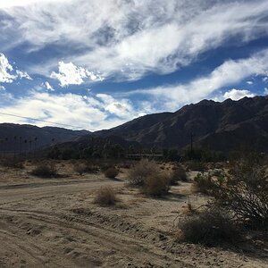 IMG 0771