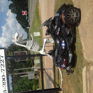 Dino, Haughton LA