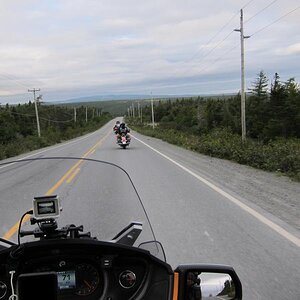 IMG 6536