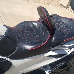 can am 5