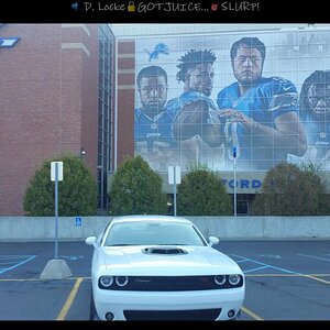 Lions Den