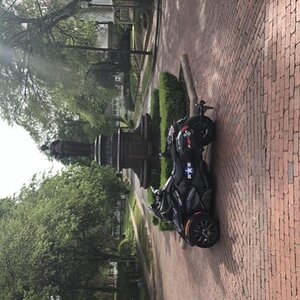 Jefferson TX