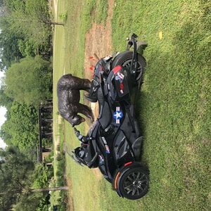 Jefferson TX