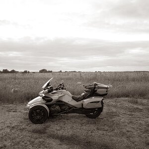 DSCN8575.jpg