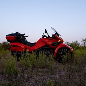 _DSF9084.jpg