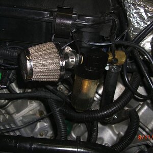 CIMG6352sm