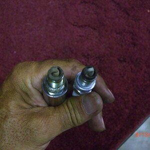 CIMG6359sm