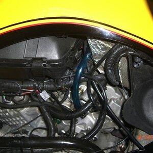 CIMG6367sm
