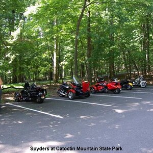 catoctin2(2)