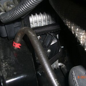 CIMG6376sm