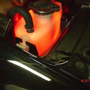 CIMG6382sm