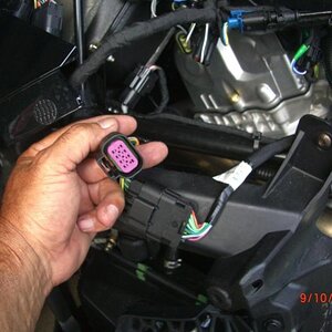 CIMG6478sm
