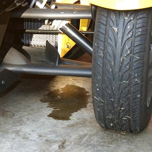 Oil Leak