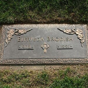 brodish