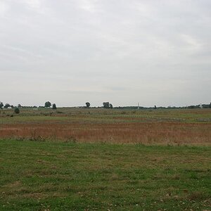 pickett southern