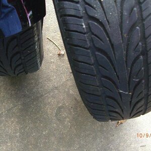 CIMG6585sm