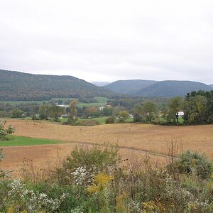 farmland