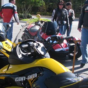IMG 0455
