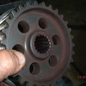 CIMG6600sm
