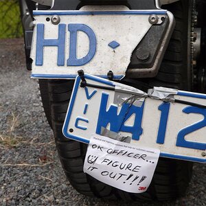 the plate