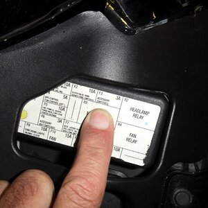 SAM 0024sm