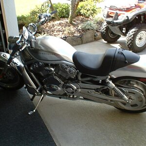 MY WIFES TOY