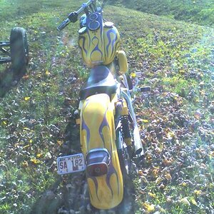 1989 HD (back view)