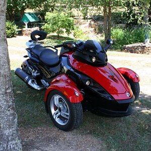 LeesSpyder01