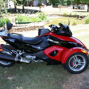 LeesSpyder02