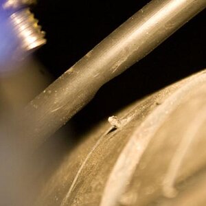 2010RSspyder TailLightWireChafe 4 - The chafe in the taillight from the rear tire