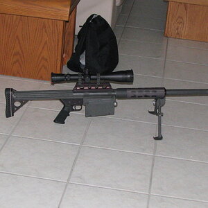 Anzio 50