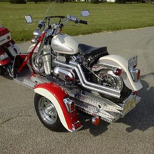 Bike Trailer 5