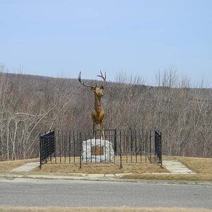 DSCN0323001