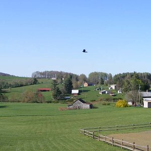 DSCF1677