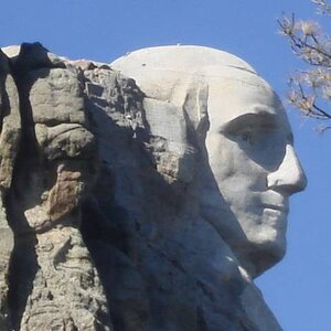 head