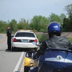 escort