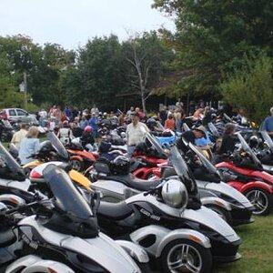 line of spyders
