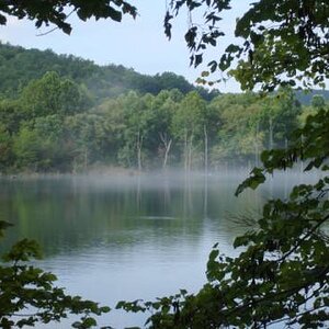 fog