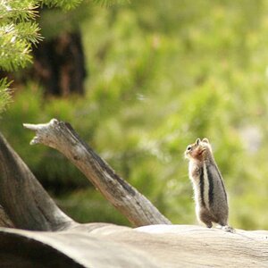 E IMG 4800