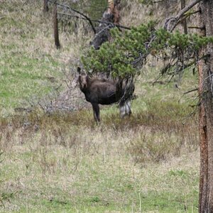 E IMG 4834