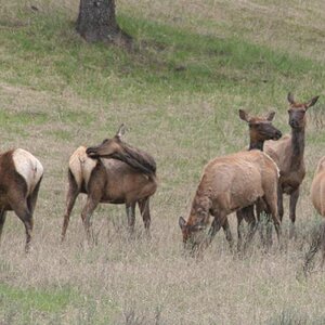E IMG 4844