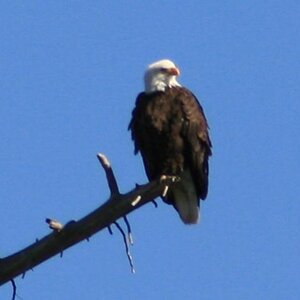E IMG 4879