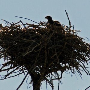 E IMG 4883