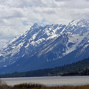 E IMG 4910