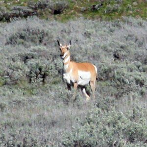 E IMG 4960
