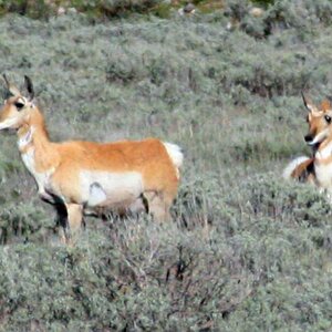 E IMG 4974