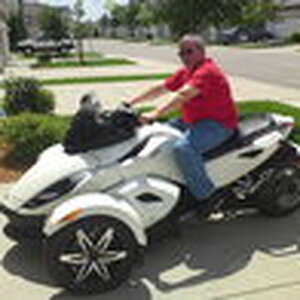 My spyder